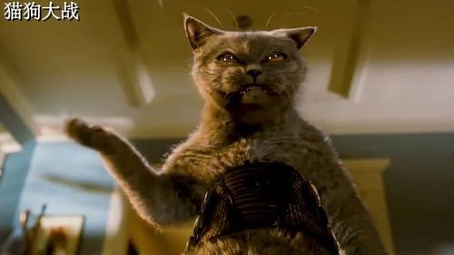 关于动物的电影搞笑的