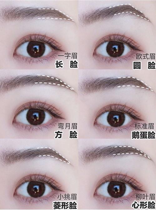 标准眉图片,打造完美眉目的关键要素
